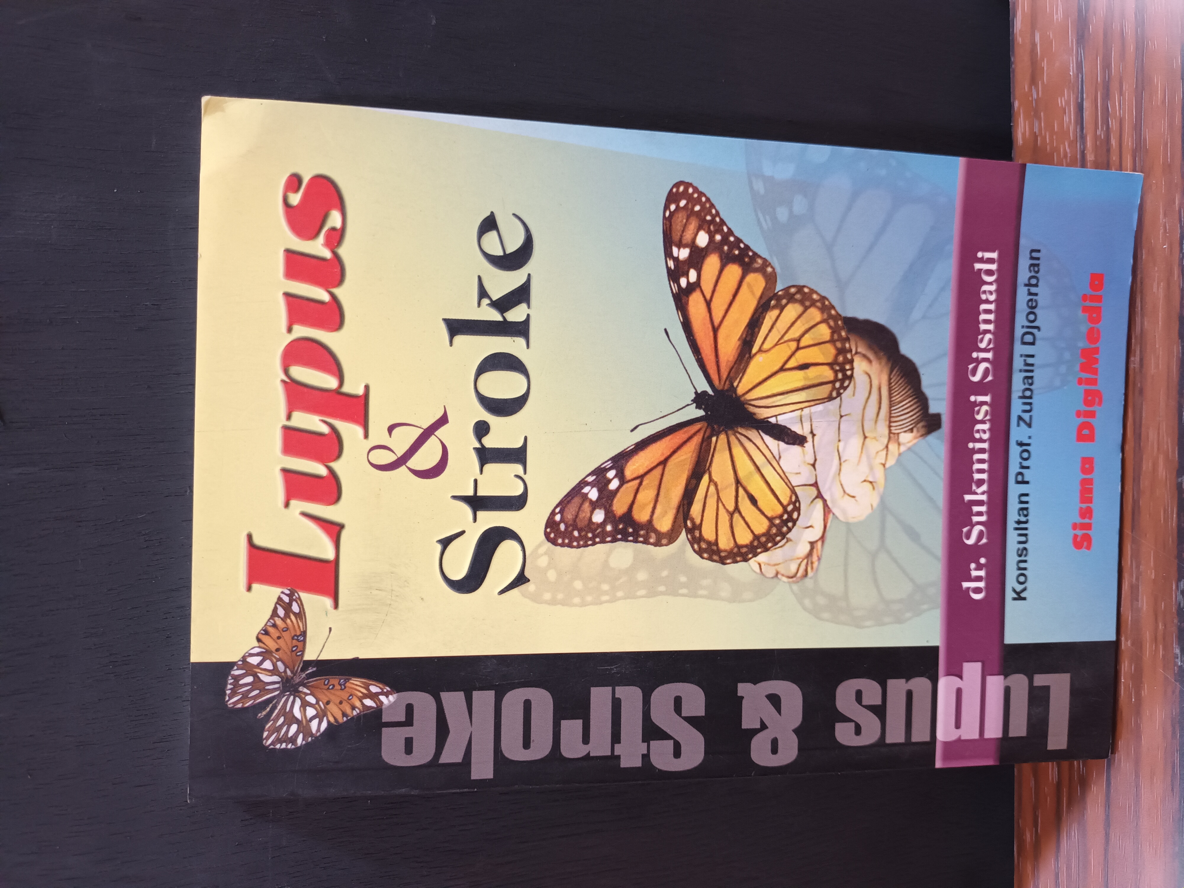 Lupus dan stroke