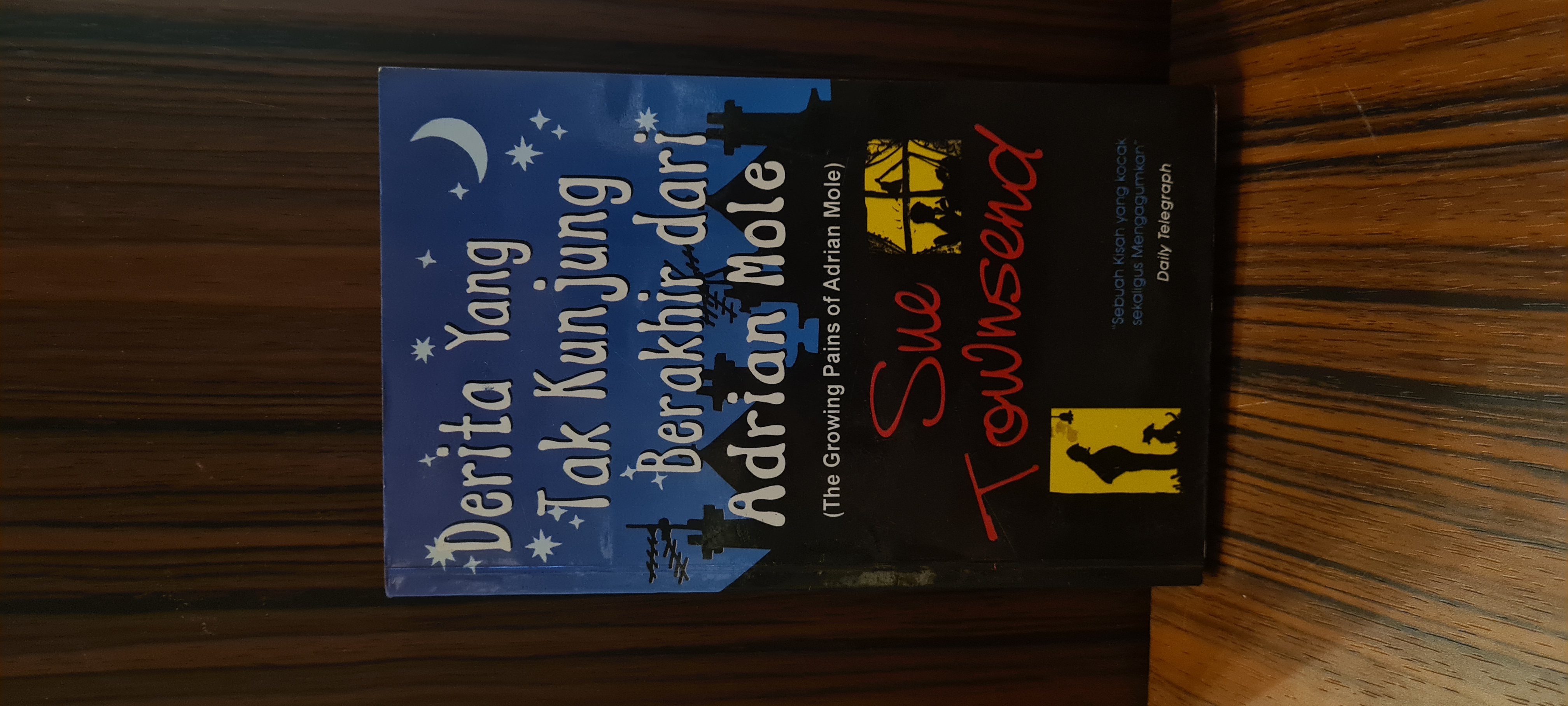Derita Yang Tak Kunjung Berakhir Dari Adrian Mole