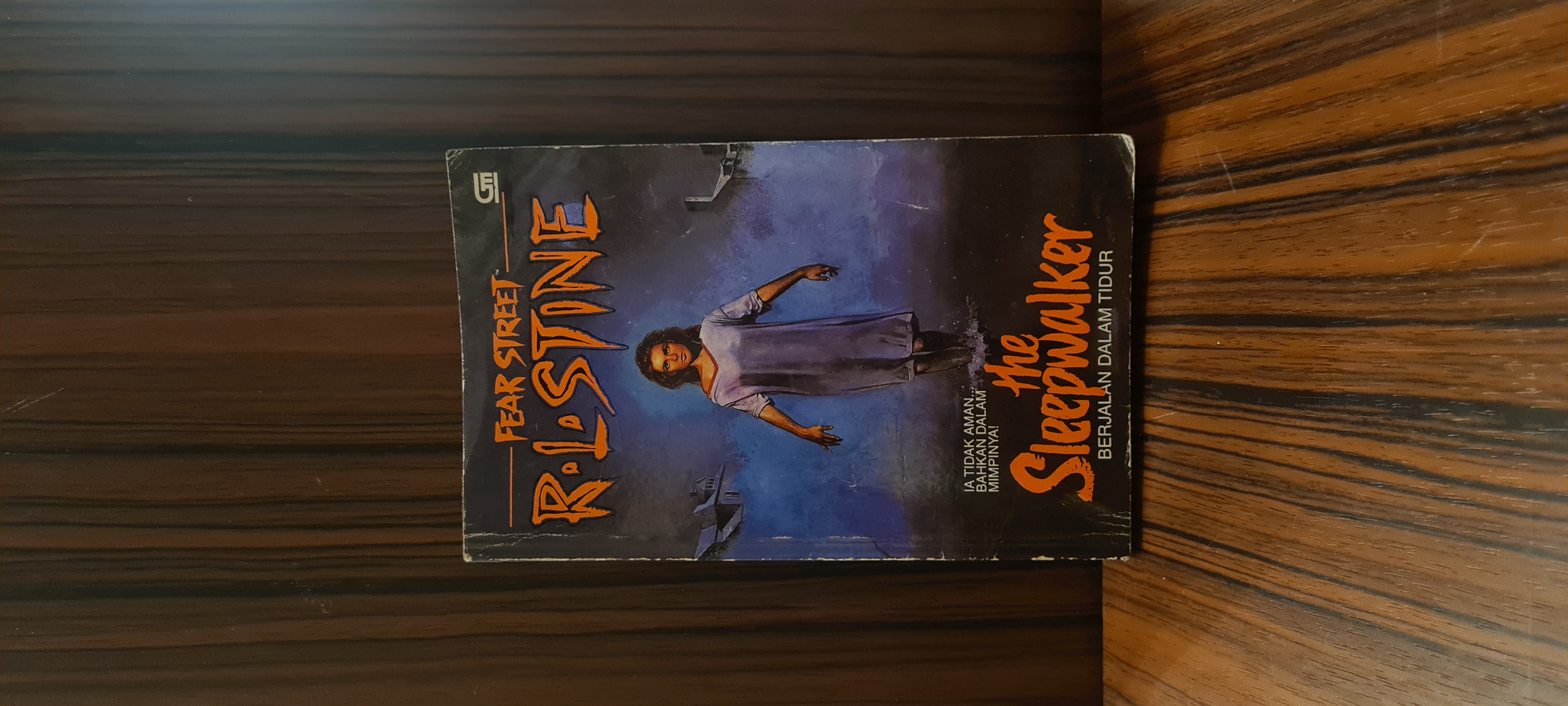 The sleepwalker