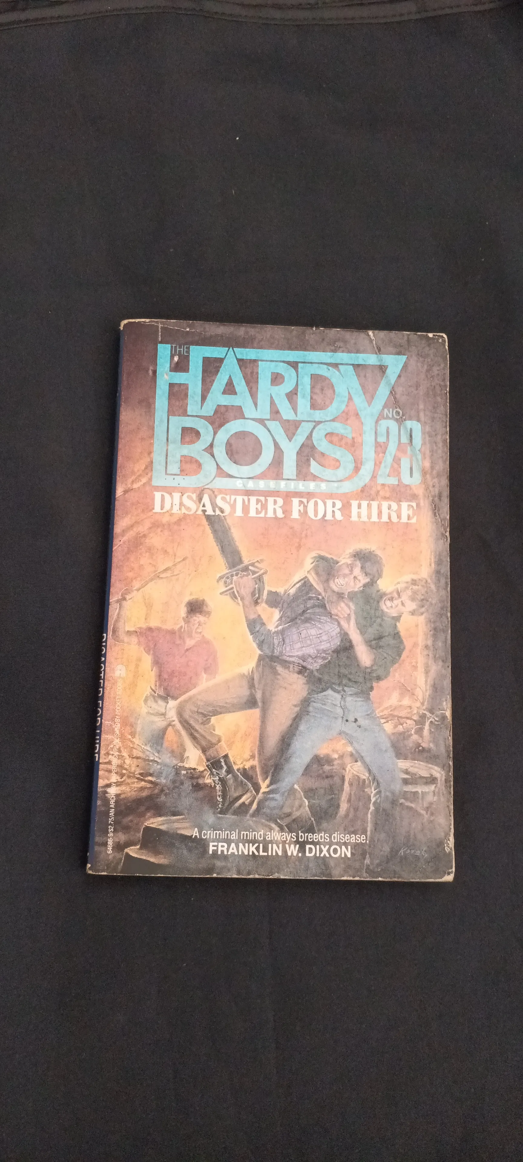 THE HARDY BOYS NO 23 disaster for hire