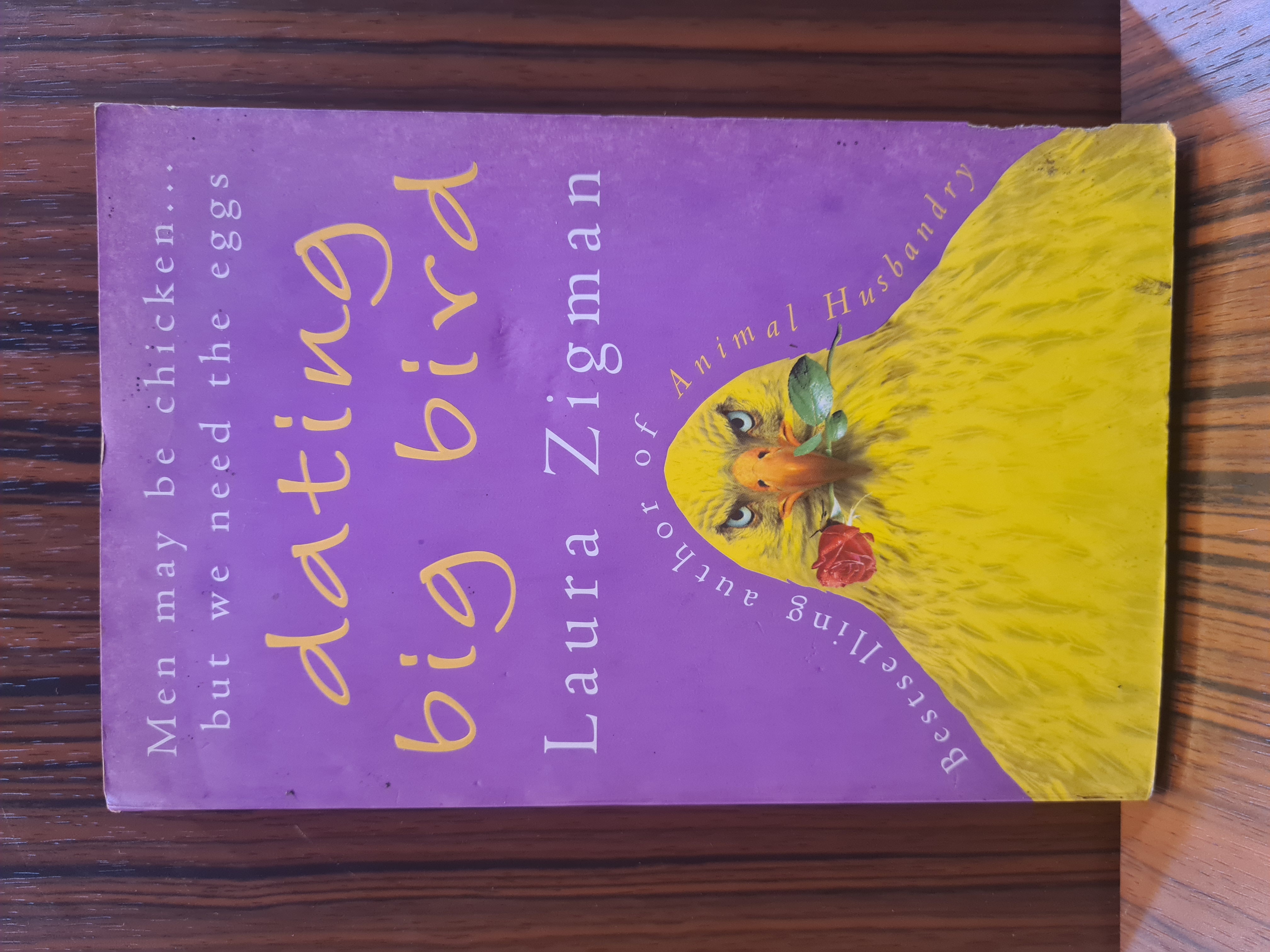 Dating big bird
