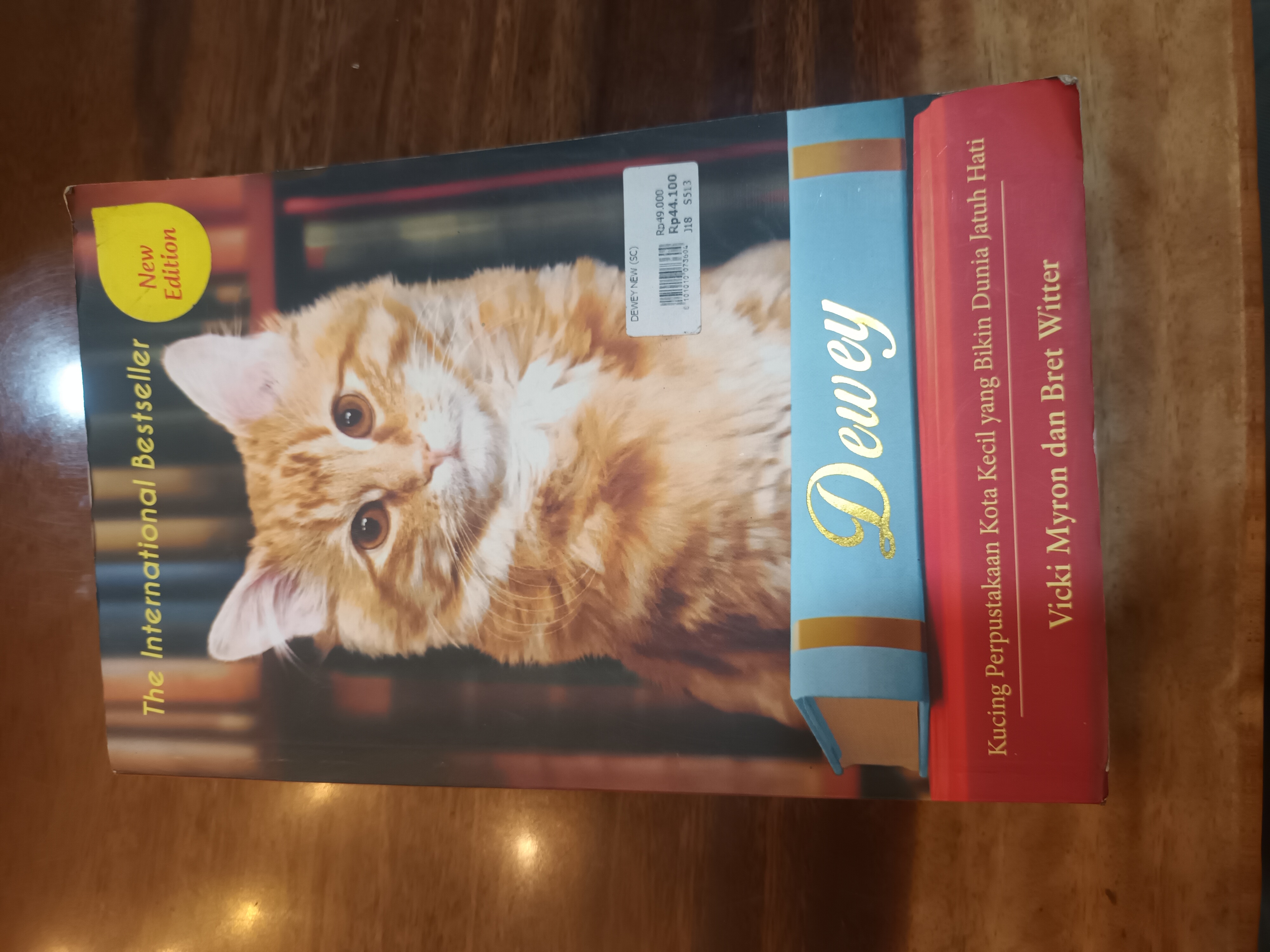 Dewey, kucing perpustakaan kota kecil yang bikin dunia jatuh hati