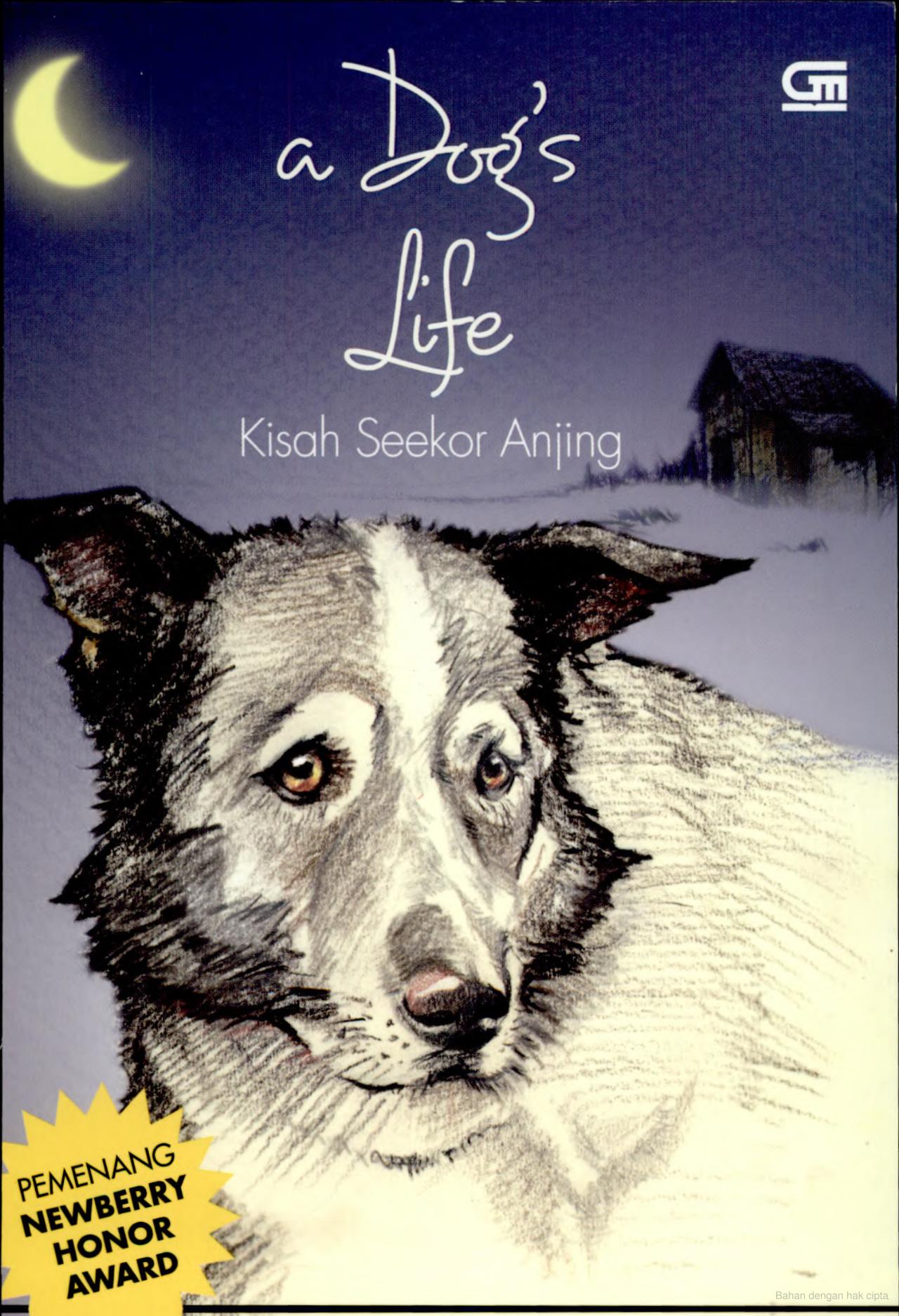 A Dog's life
