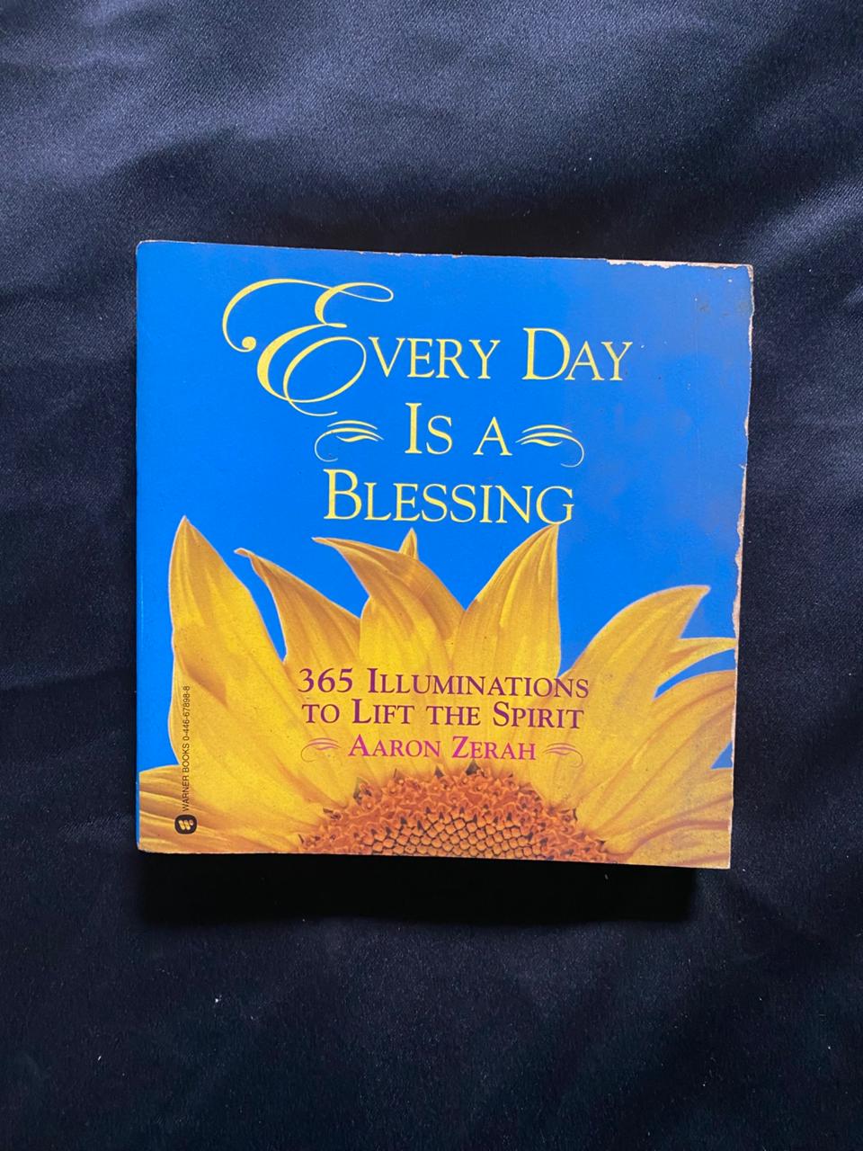 Everyday Is A Blessing: 365 Illumin Ations To Lift The Spirit