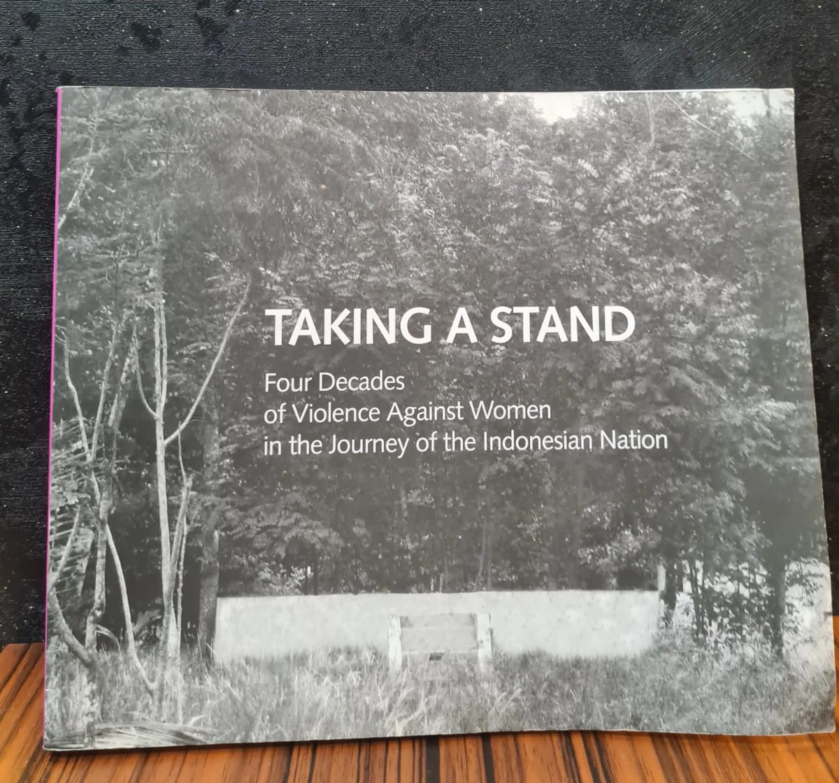 TAKING A STAND: Four decades of violence against women in the journey ot the indonesian nation
