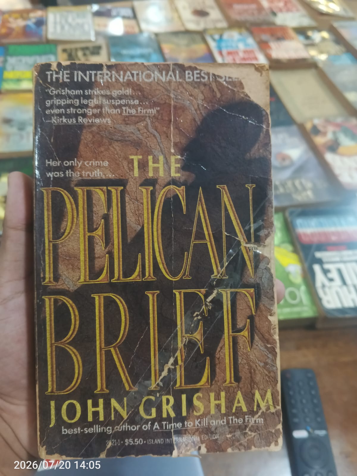 The Pelican Brief