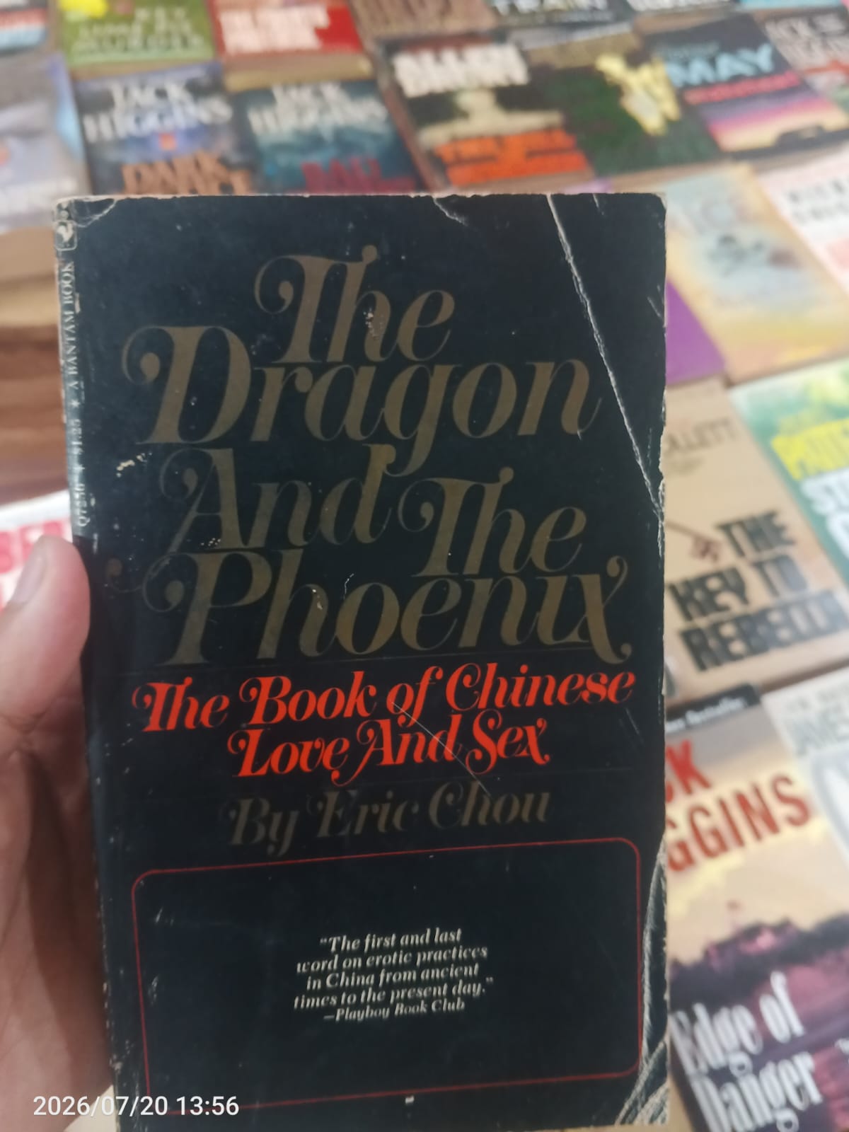 The Dragon And The Phoenix 
