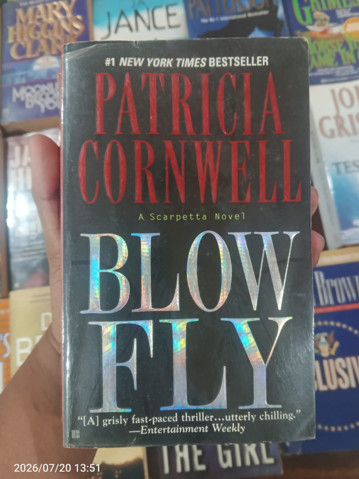 Blow Fly