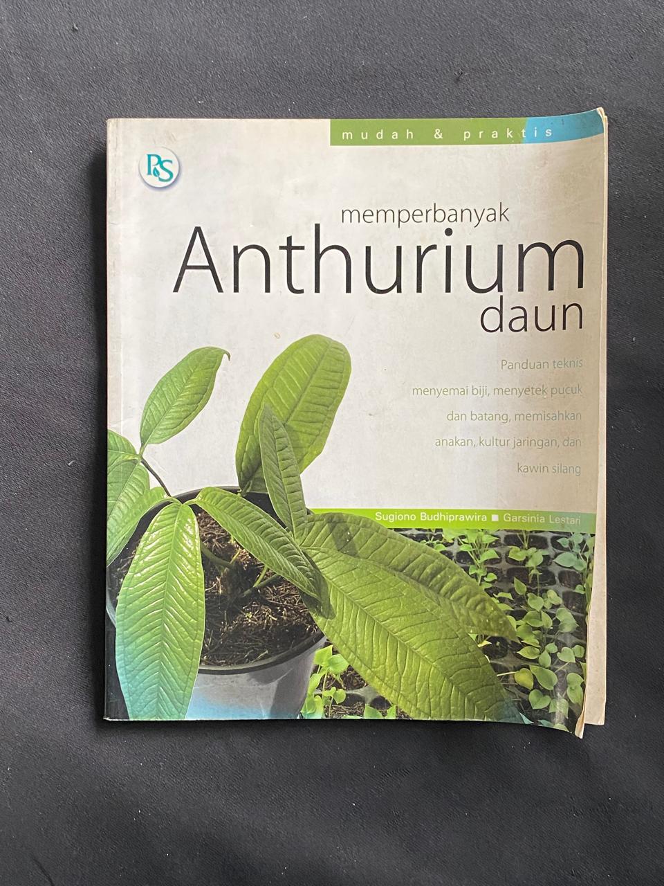 Memperbanyak Anthurium Daun