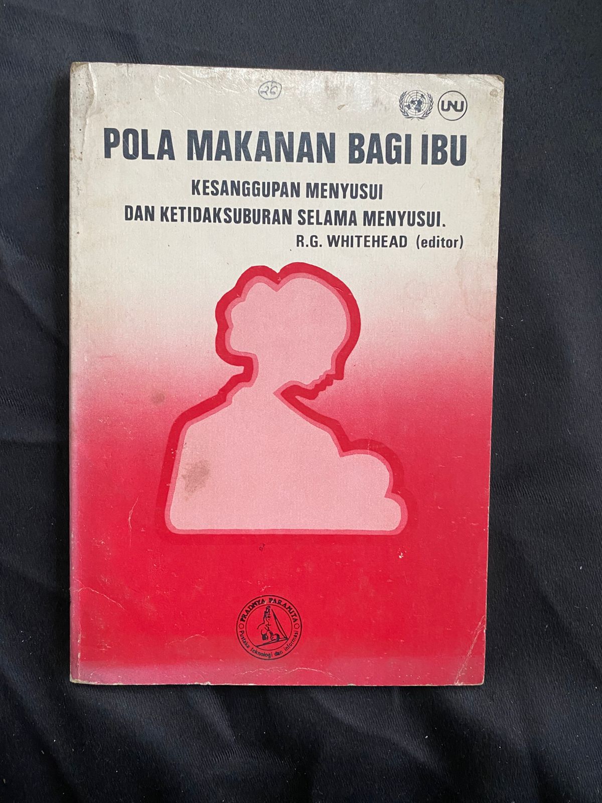 Pola Makanan Bagi Ibu