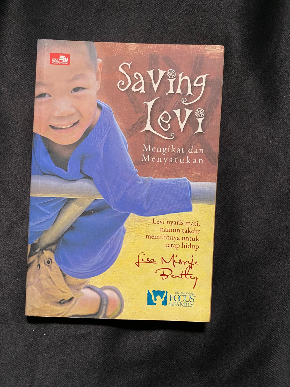Saving Levi