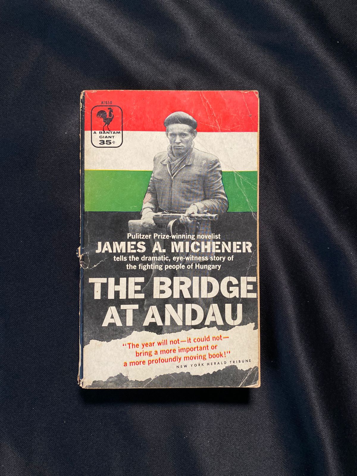 The Bridge At Andau