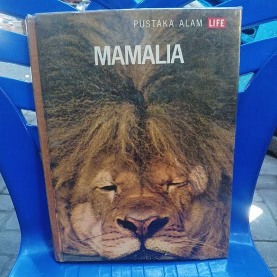 MAMALIA