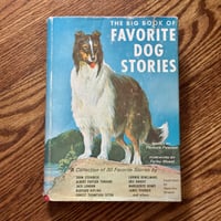 Dogs Heroes,nAdventurers, Friends